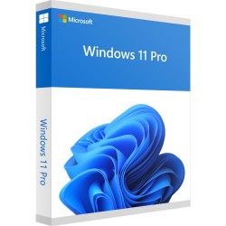 Windows 11 Pro Licens